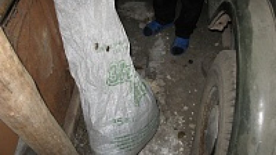 Житель Воронежской области хранил марихуану в пакете от наполнителя кошачьего туалета