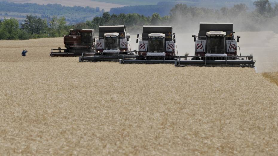 Губернатор Александр Гусев поздравил воронежских аграриев со сбором 5 млн тонн зерна