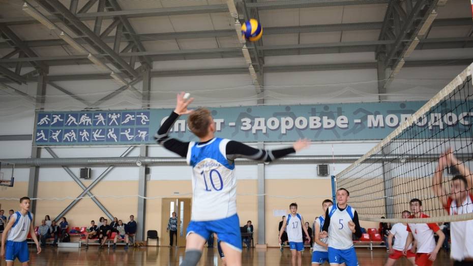 В Грибановке пройдет межрегиональный турнир по волейболу среди мужчин