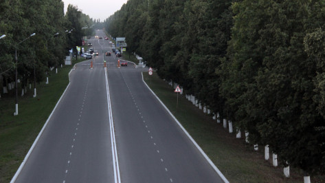 В Воронеже на дорожную разметку потратят до 182,3 млн рублей