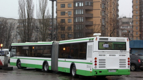 В Воронеже для маршрута №64 докупили 2 автобуса-гармошки