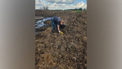 Росприроднадзор отобрал пробы почвы, загрязненной отходами животноводства под Воронежем