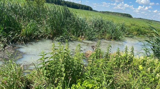 Воронежского производителя солода обвинили в загрязнении двух рек