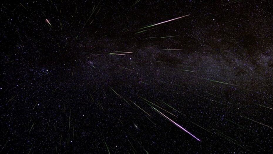 Астронаблюдения метеоров Персеид пройдут на скалодроме под Воронежем