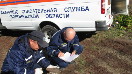 В Семилуках возле частного дома нашли мину времен ВОВ