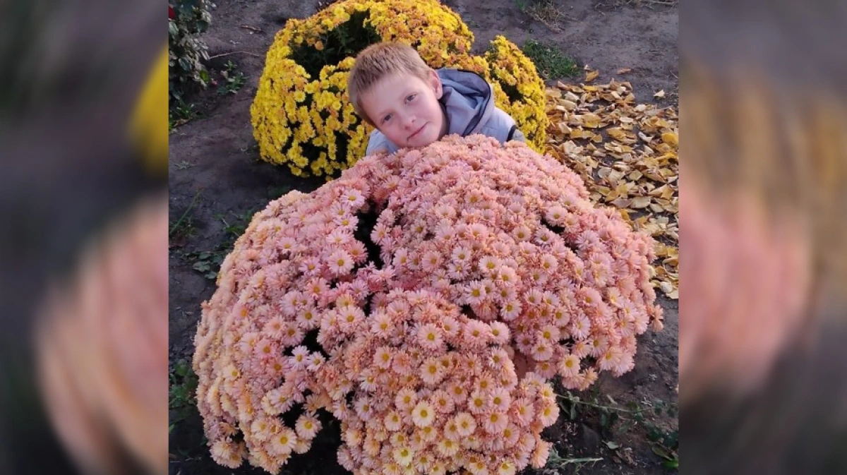 Цветок который вырастили школьники фото его.