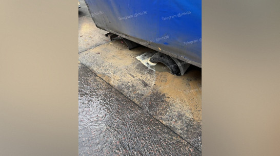 В Воронеже под грузовиком провалился асфальт