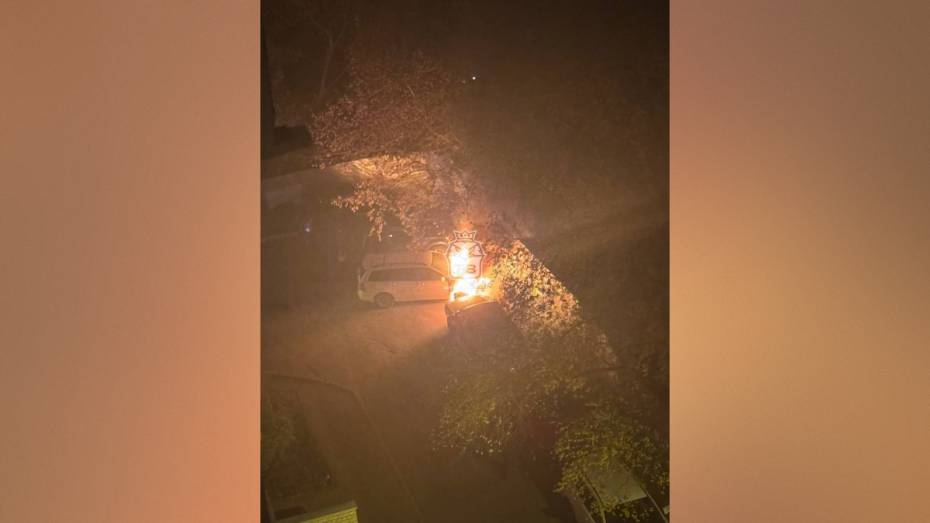 В Ленинском районе Воронежа ночью загорелись 3 машины: видео