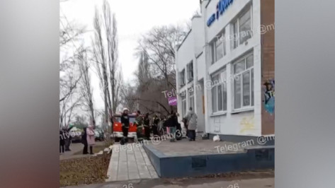 В Воронеже загорелось котокафе днем 5 декабря: видео