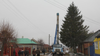 В центре Боброва к новогодним праздникам установили живую 14-метровую ель