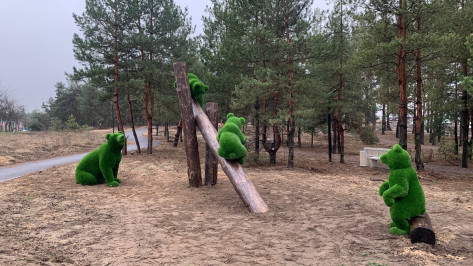 В Лисках в сквере на улице Олега Романова установили еще один арт-объект