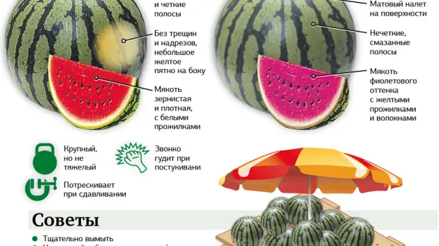 Как выбрать сладкий арбуз? Интересно узнать Дзен