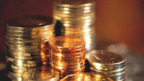 В Воронежской области ущерб от экономических преступлений в 2017 году составил 1,6 млрд рублей