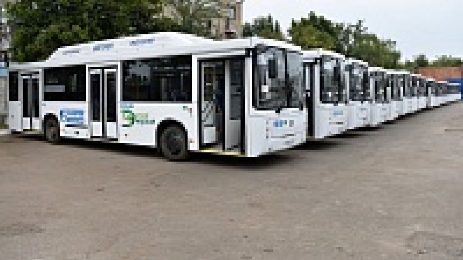 В Воронеже на «Народный маршрут» выйдут 25 новых автобусов