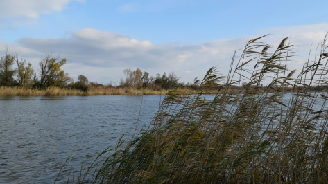 В Воронежской области появилась схема охотугодий
