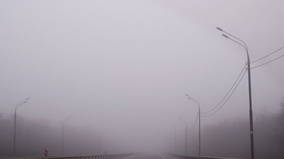 Туман, гроза и сильные дожди вернутся в Воронежскую область