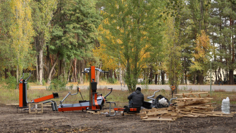 В воронежском парке «Танаис» началась установка уличных тренажеров