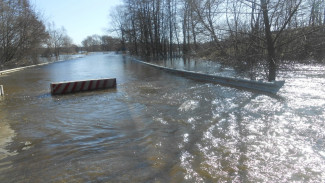 В Рамонском районе из-за паводка затопило 2 низководных моста