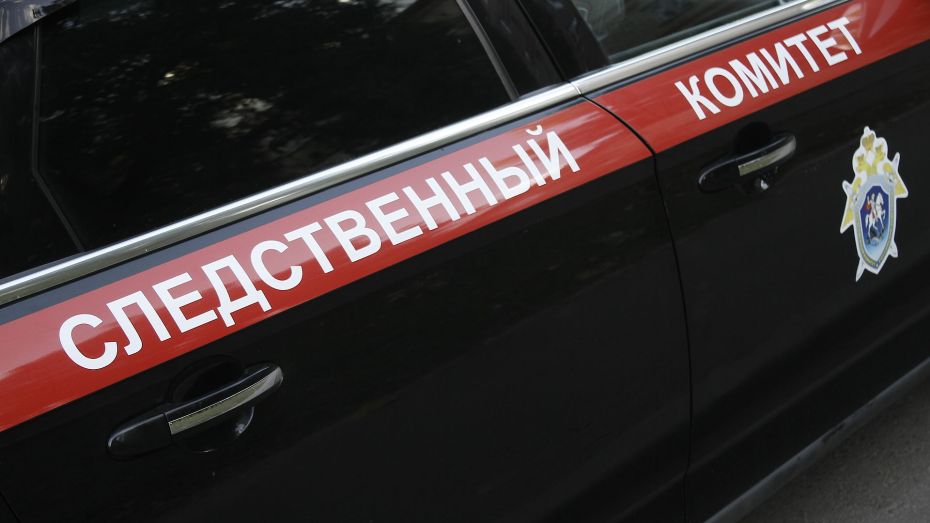 Депутат райсовета в Воронежской области стала фигурантом дела о фейках про действия ВС РФ