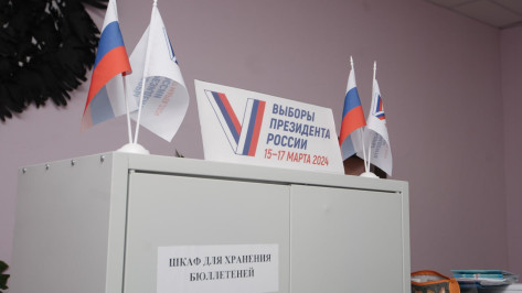 Правительство Воронежской области опровергло информацию о нарушениях на избирательных участках