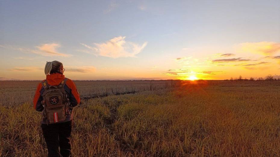 В Воронежской области за неделю живыми нашли 18 пропавших людей