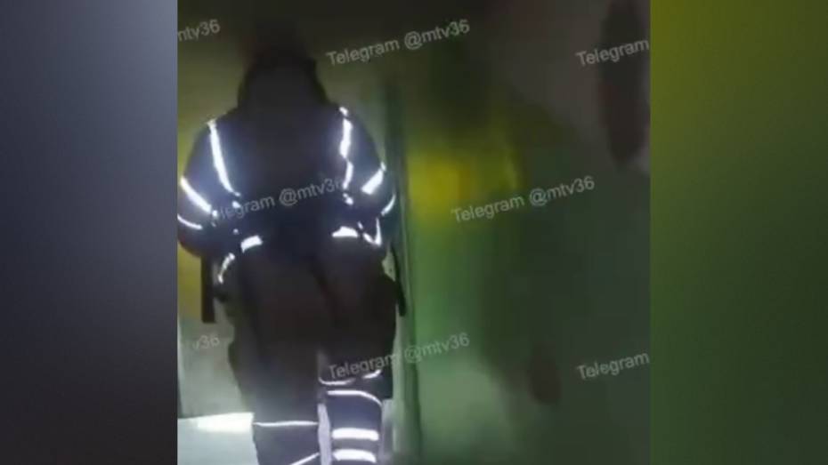 В Воронеже из горящей квартиры спасли детей и кота: видео