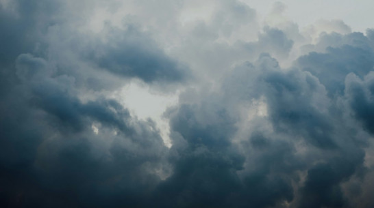 МЧС предупредило воронежцев о сильном ветре с порывами до 20 м/сек