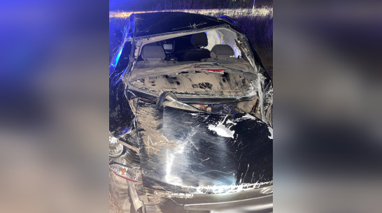 Hyundai Solaris вылетел в кювет в Воронежской области: есть погибший и пострадавший