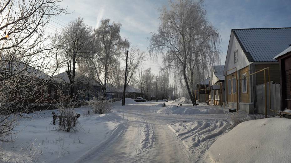 Штормовое предупреждение продлили в Воронежской области из-за аномальных морозов