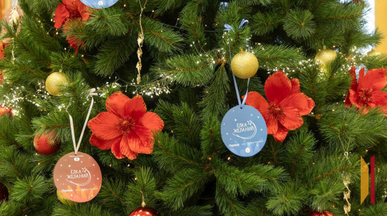 Воронежские дети поблагодарили вице-губернатора Дмитрия Маслова за новогодние подарки