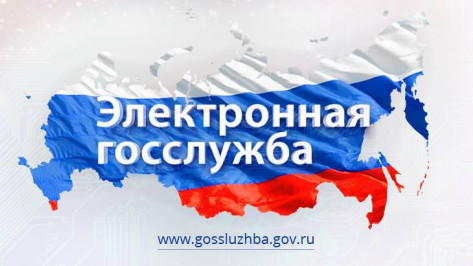 Воронежских чиновников-коррупционеров внесут в специальный реестр
