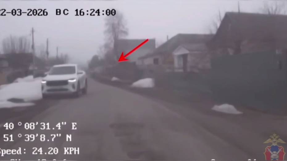 В Воронежской области пьяный водитель хотел уехать от полицейских