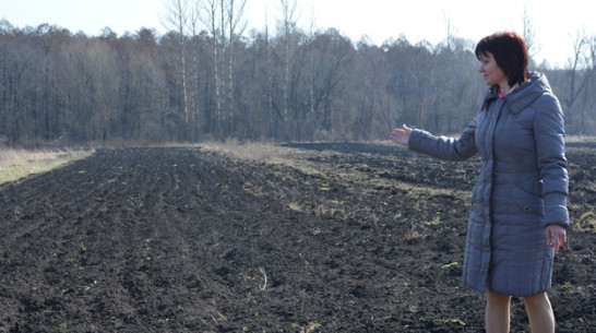 В Нижнедевицком районе найдены археологические памятники эпохи бронзы