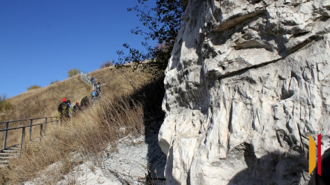 Изменился режим работы воронежского музея «Дивногорье»