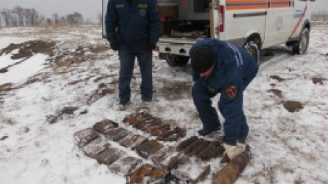 В Воронежской области подрывники уничтожили 29 боеприпасов