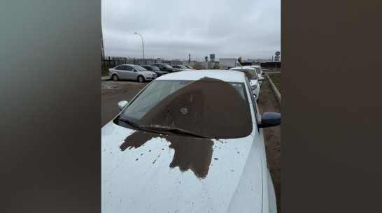 «Ночные мстители» порезали шины и облили грязью автомобили в воронежском ЖК «Черемушки»