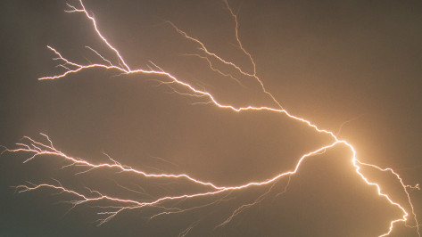 Грозы задержатся в Воронежской области до 19 августа