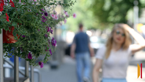 Сильная жара в Воронеже побила температурный рекорд