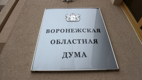 Депутаты Воронежской облдумы скорректировали бюджет региона на 2015 год