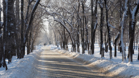 Рабочая неделя в Воронеже будет теплой и снежной