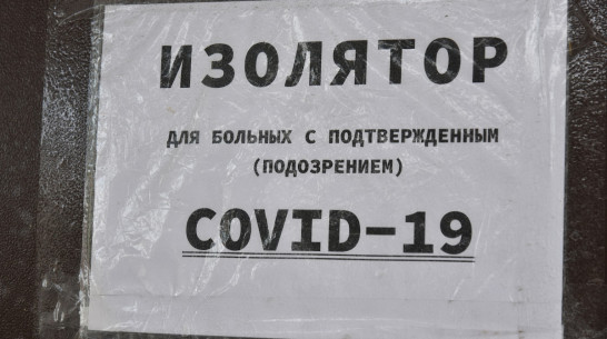 Коронавирус за сутки подтвердили у 195 воронежцев