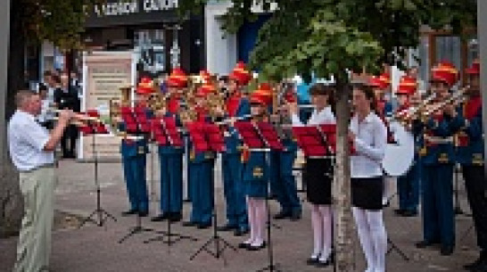 Воронежские творческие деятели хотят переформатировать День города