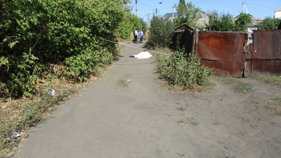 Убивший пенсионерку из-за 10 рублей житель Воронежской области ответит в суде