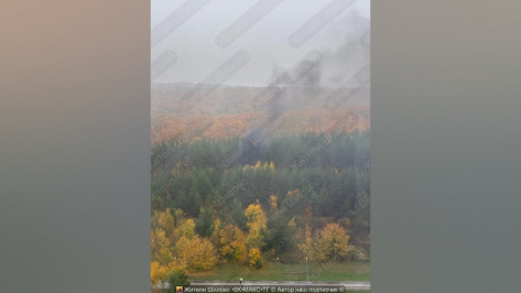 Пожар в Шиловском лесу в Воронеже днем 15 октября сняли на видео