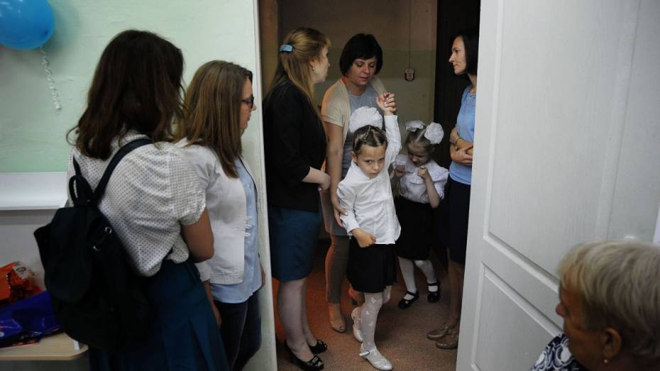 Эксперты: «В Воронежской области пока нет четкой программы инклюзивного образования»