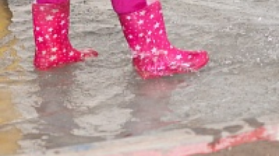 Воронежскую область ждет теплая, но дождливая погода