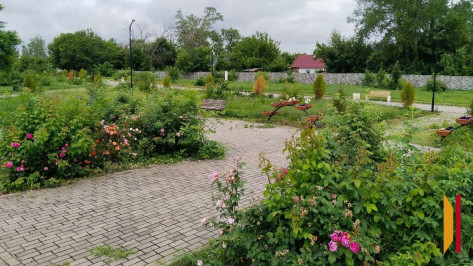 Эртильское село Щучье поборется за звание самого красивого в области