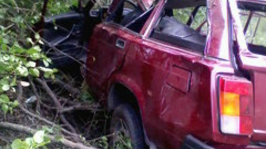 В Острогожском районе «Нива» врезалась в препятствие