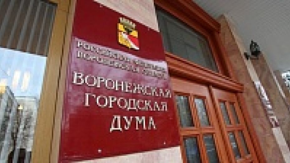 Депутатов Воронежской гордумы хотят оставить без зарплаты