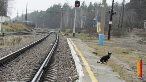 В Воронежской области 5 остановок ЮВЖД получат новые названия